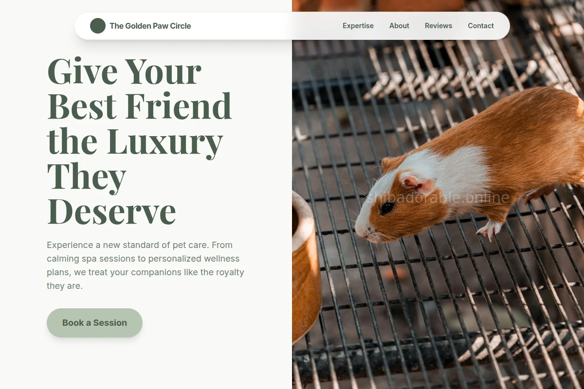 Society Animal Care