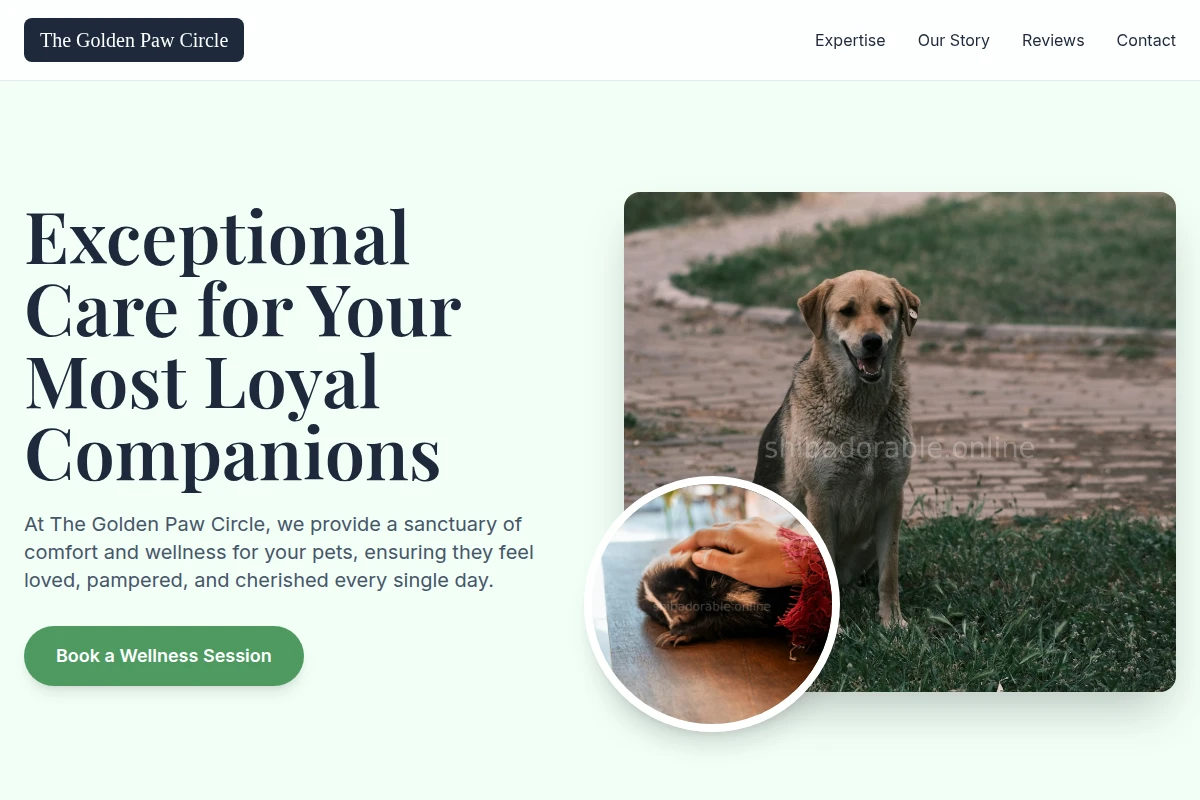 Studio Animal Care