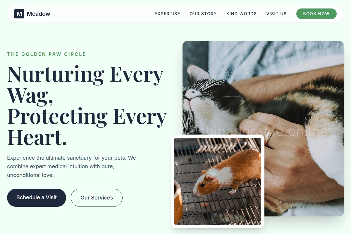 Meadow Animal Care