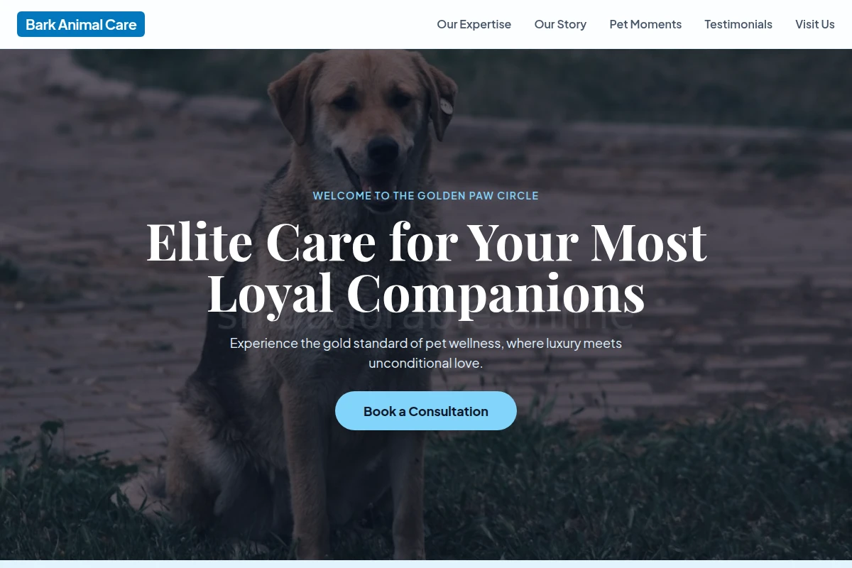 Bark Animal Care