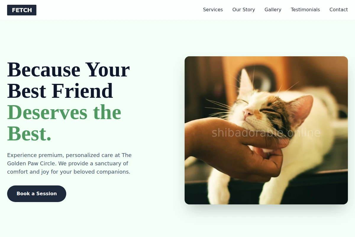 Fetch Animal Care
