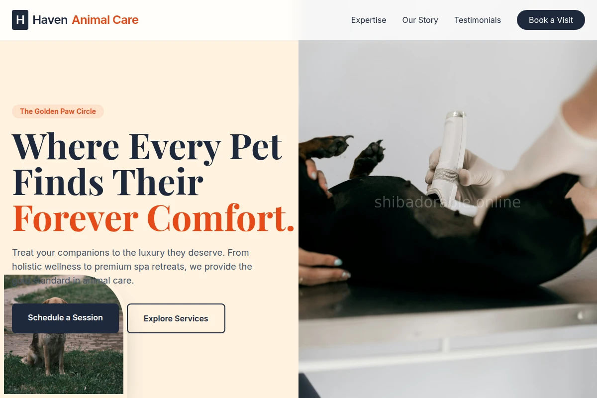 Haven Animal Care
