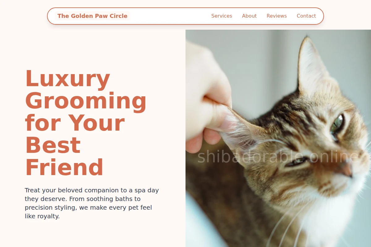 Groom Animal Care
