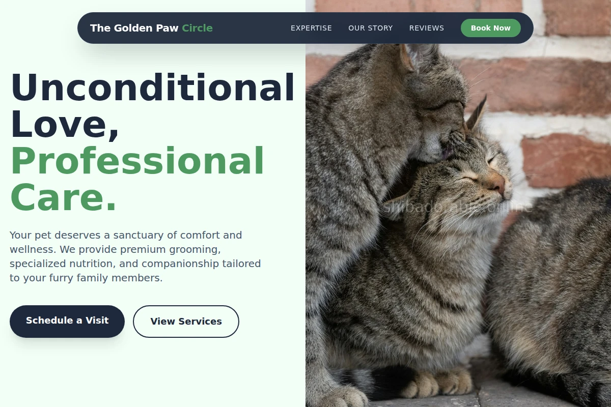 Purr Animal Care