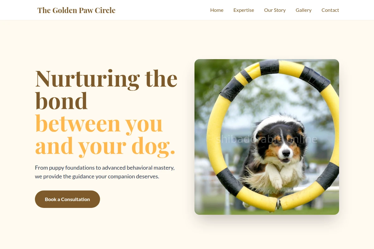 Collective Dog Training