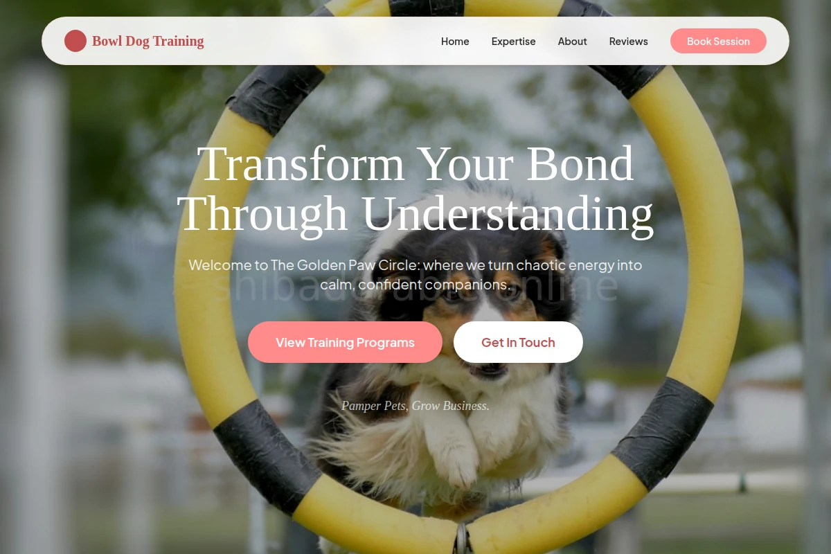 Bowl Dog Training