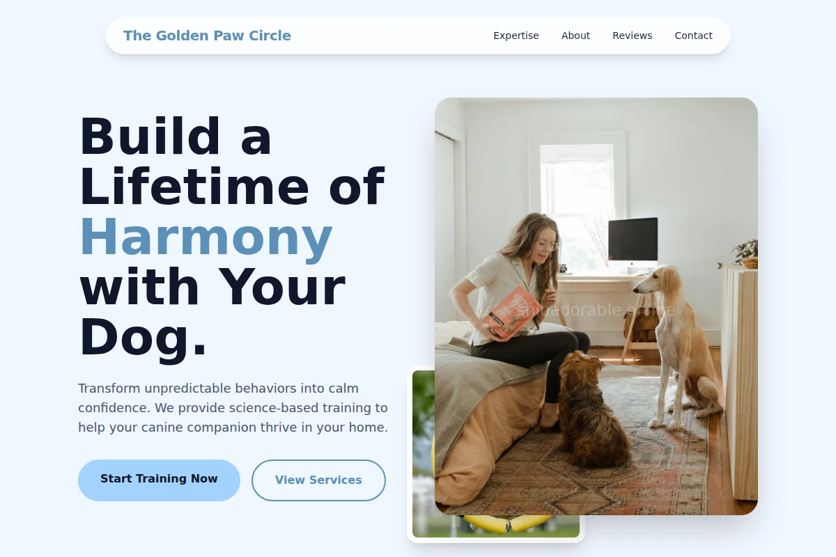 dog-training
