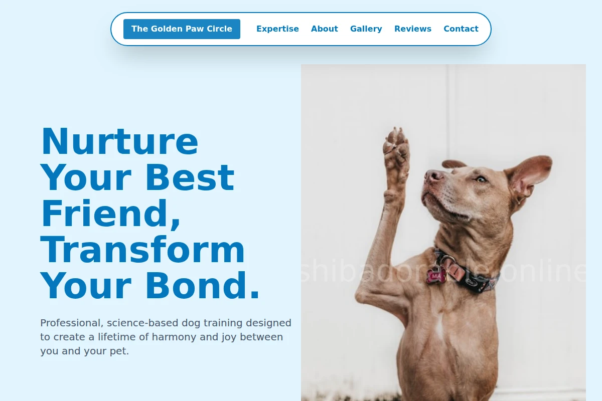 Golden Dog Training