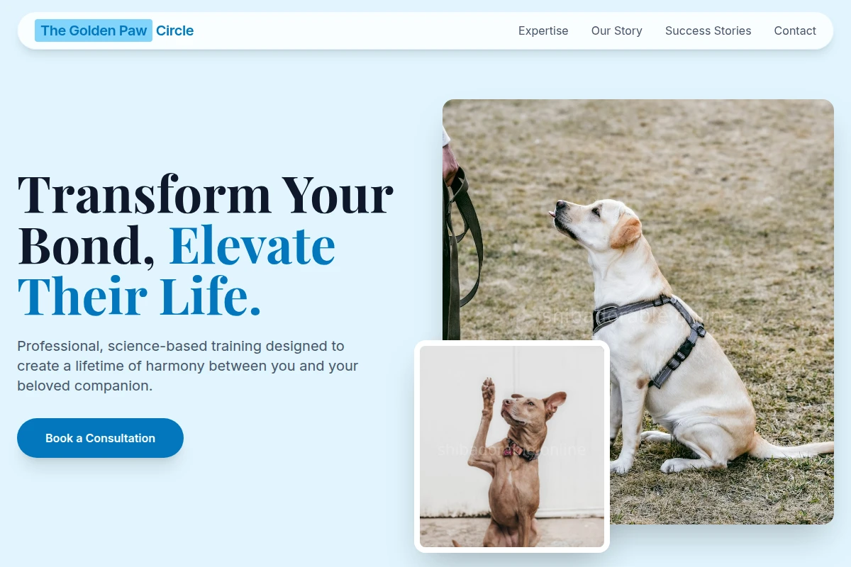 Golden Dog Training