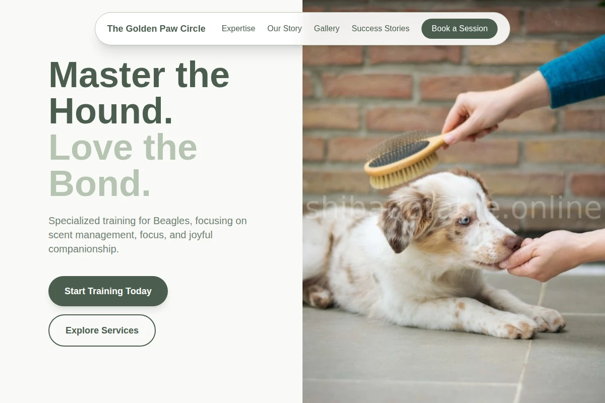 dog-training
