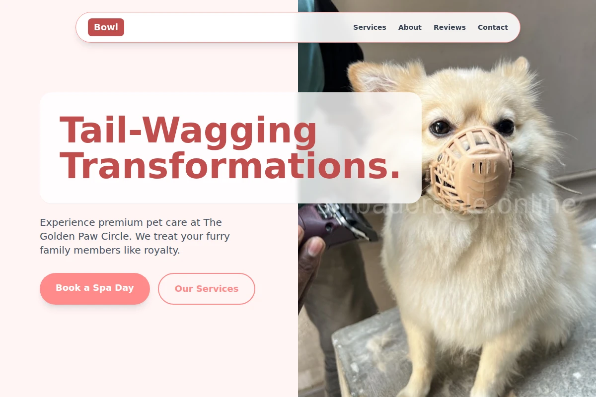 Bowl Pet Grooming